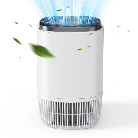 Home Air Purifier